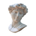 El David