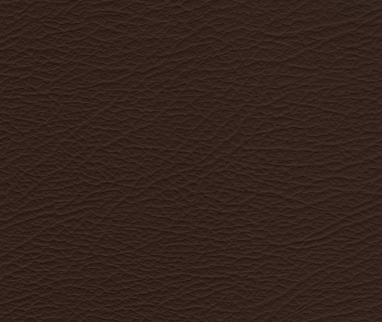 CELINÉ Signature Sofá Bed
